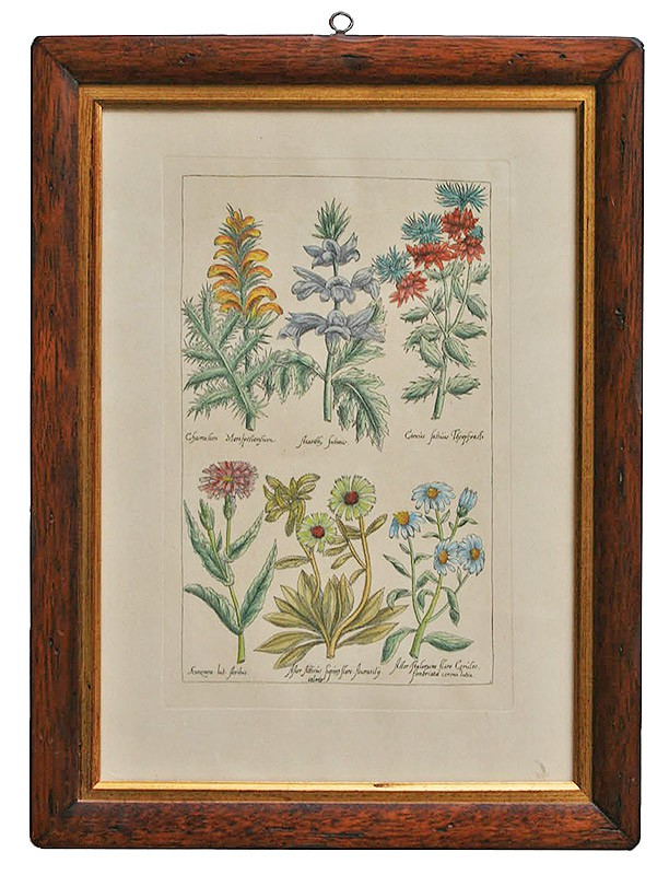 Wild Flowers Handmade Traditional Picture Frame