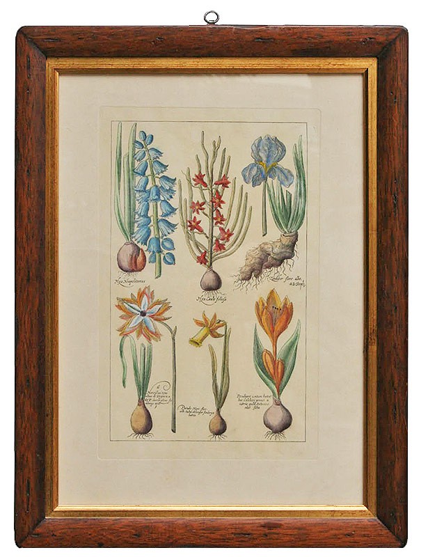Wild Flowers Handmade Traditional Picture Frame