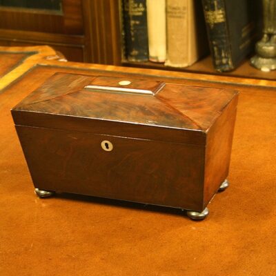 Mahogany Sarcophagus Tea Caddy