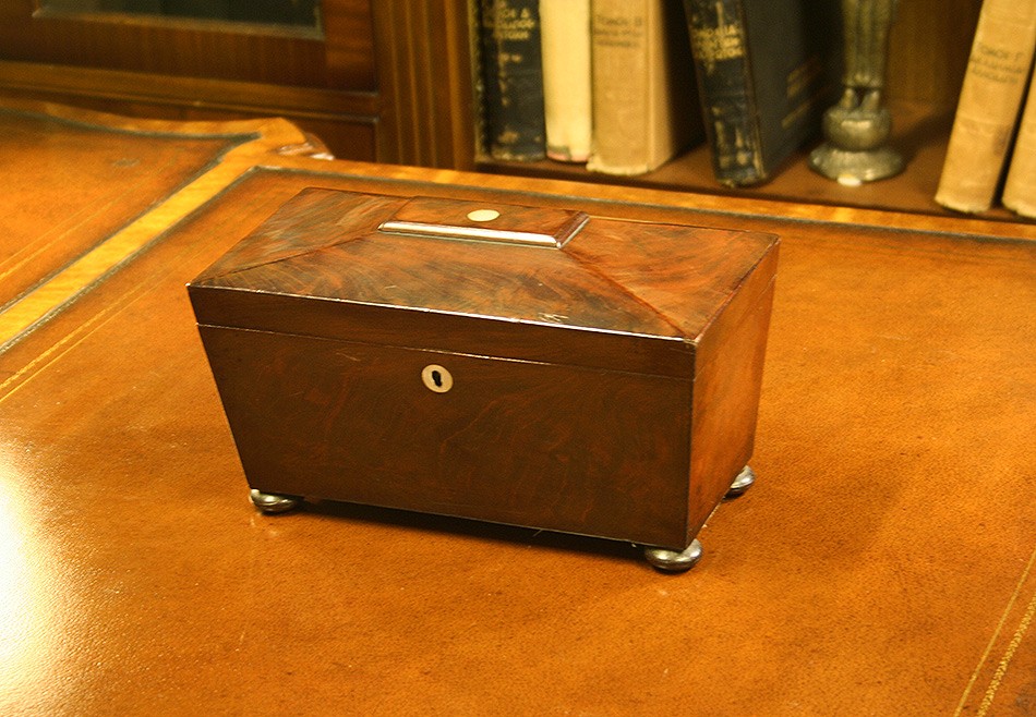 Mahogany Sarcophagus Tea Caddy