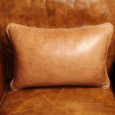 Tan Leather Cushion